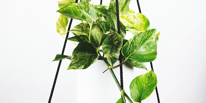 足球战术分析板展示曼城队高位压迫跑位示意图